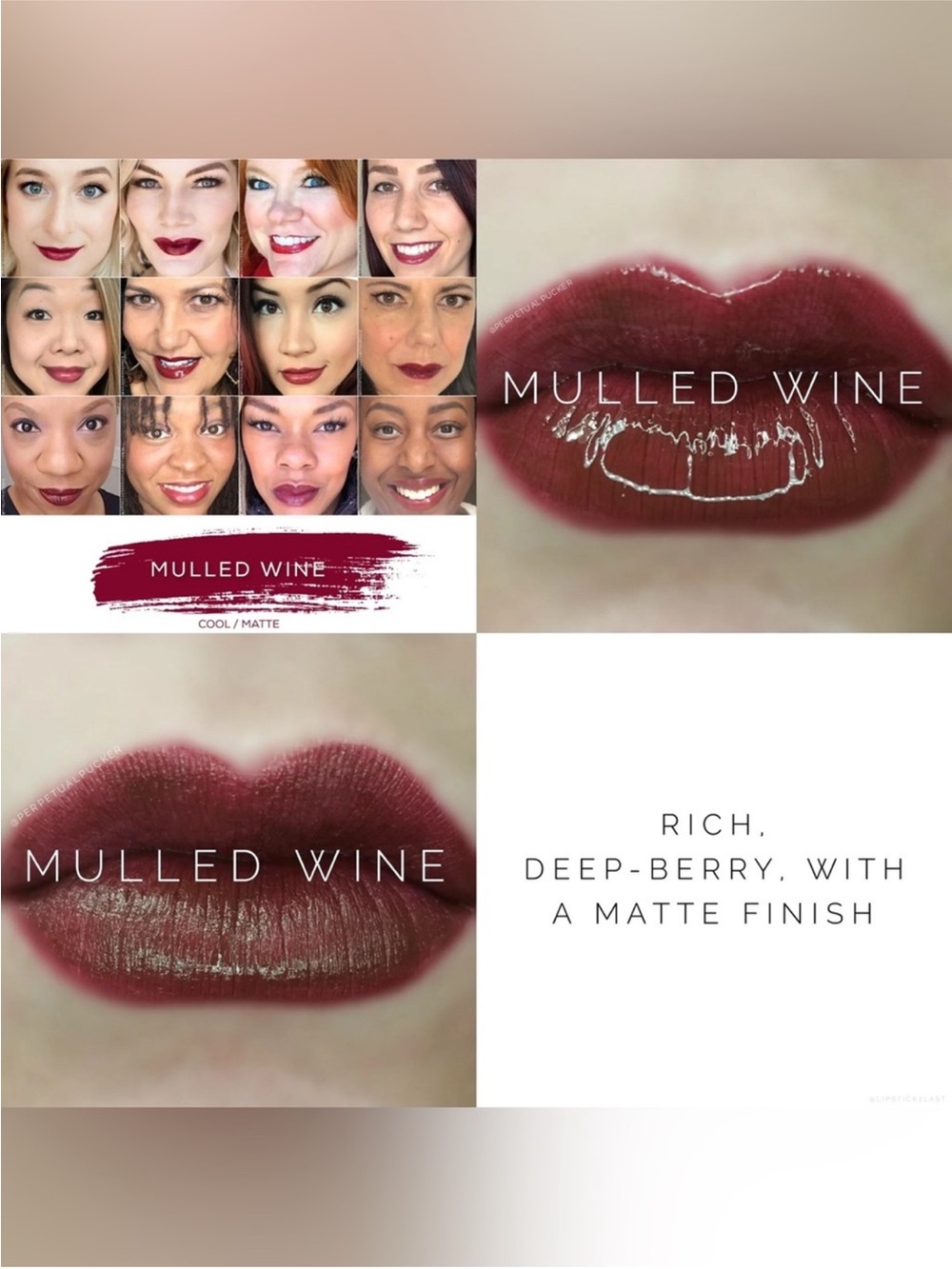 NWT Mulled Wine LipSense